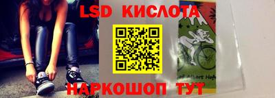 гидропоника Будённовск