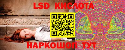 гидропоника Будённовск