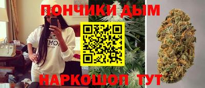 гидропоника Будённовск